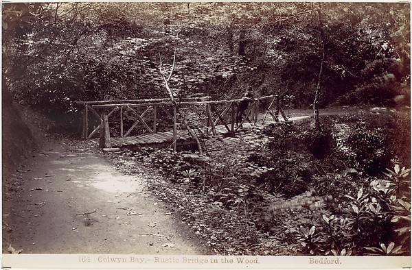 Francis Bedford, Colwyn Bay. Rustic Bridge in the Wood