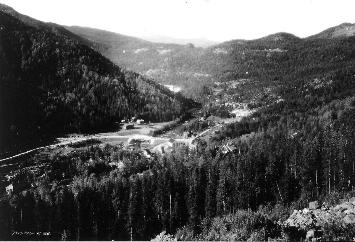 Hermann Christian Neupert, Sigdal, Buskerud. 1930. Oversiktsbilde over dalen. Spredt bebyggelse. Skog og åser omkring.