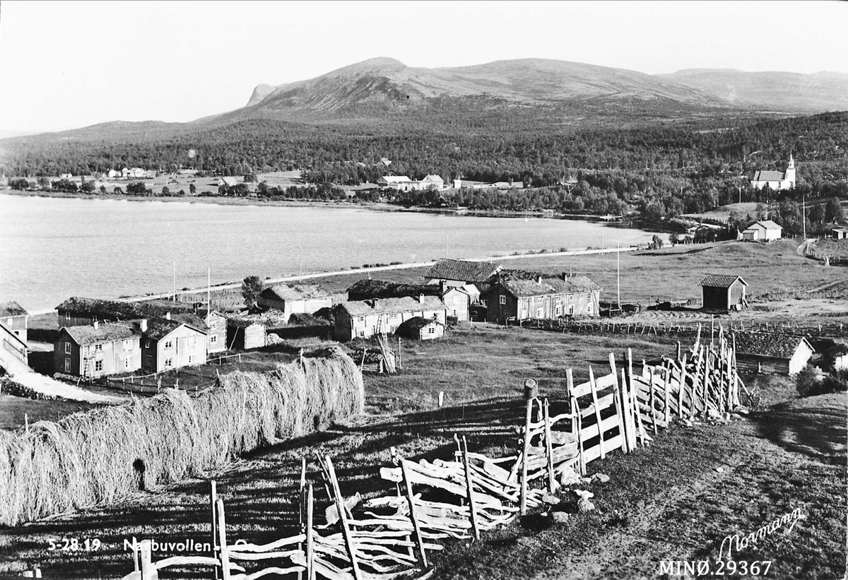 Carl Gustav Normann, Narbuvoll