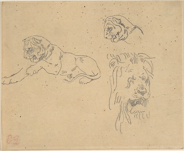 Eugène Delacroix, Three Studies of a Lion