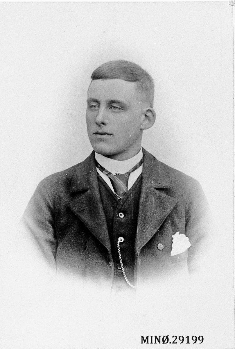 Henrik Augustinsson Stinessen, Portrett av mann. Karenus Flaten Lieng