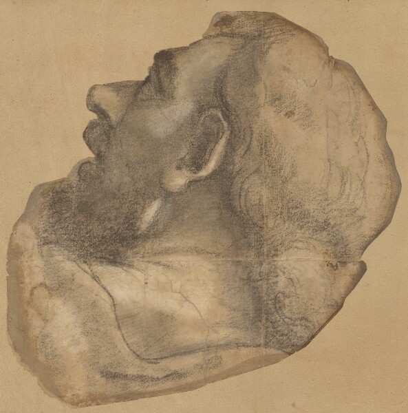 Sebastiano del Piombo, Cartoon for the Head of Saint James