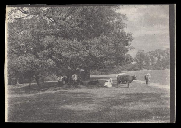 Gale, Lt. Col. Joseph, Rural Life