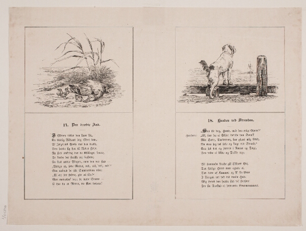 Adolph Kittendorff, Den dræbte and; Hunden ved stranden
