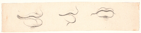 Nicolai Abildgaard, Tre studier af munde